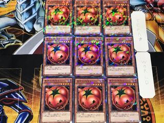 Mystic Tomato 1 Dueling Terminals, set of 9, Tera.