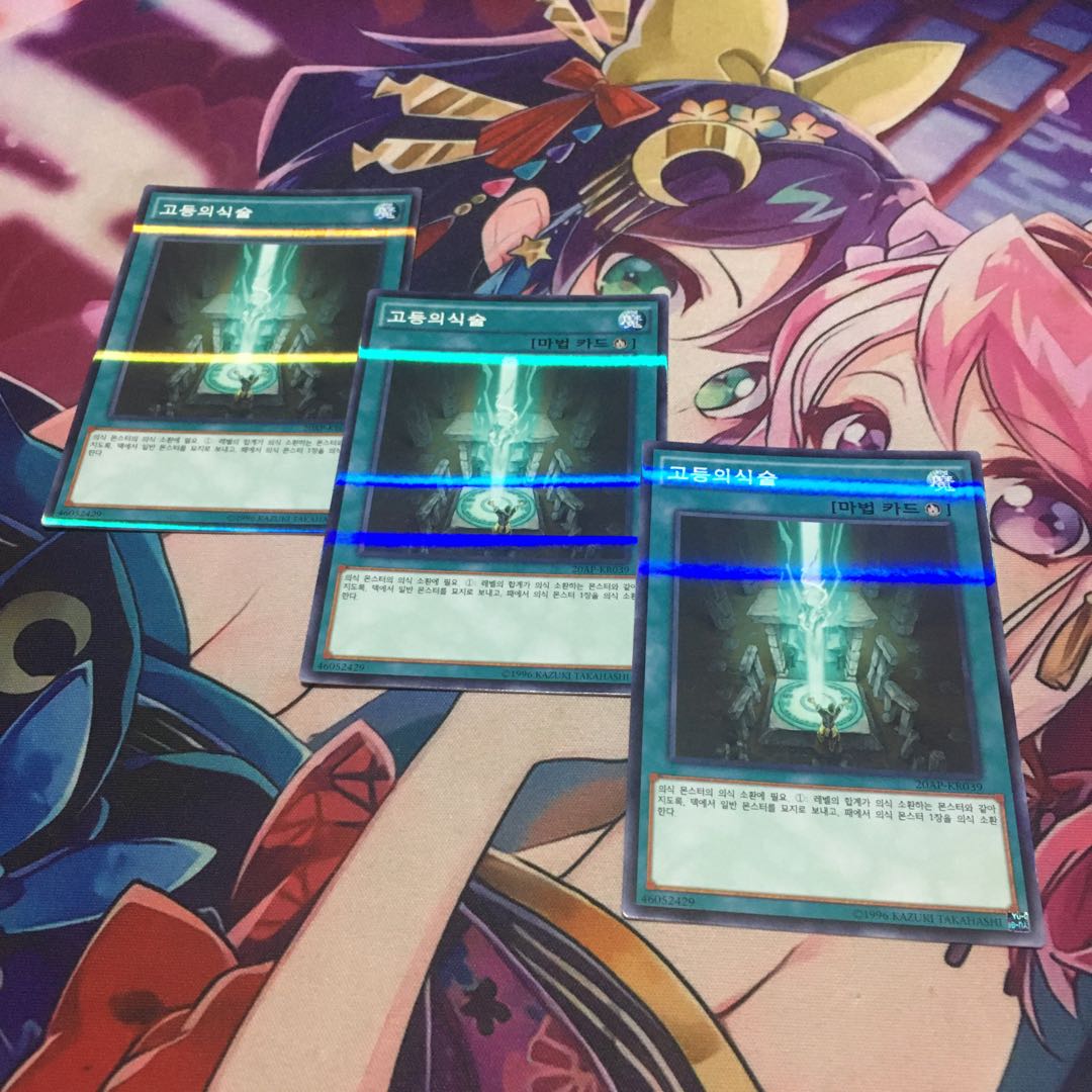 韓国 高等儀式術