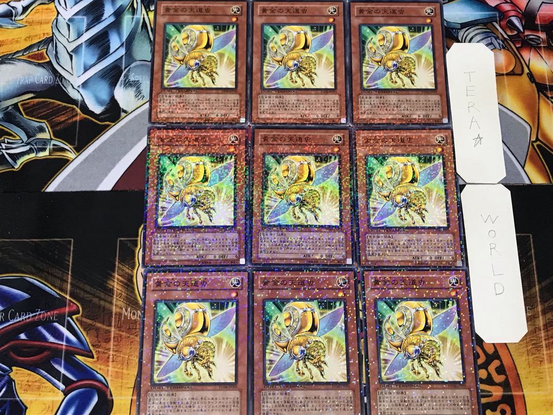 Golden Ladybug 1 Dueling Terminals, set of 9, Tera.