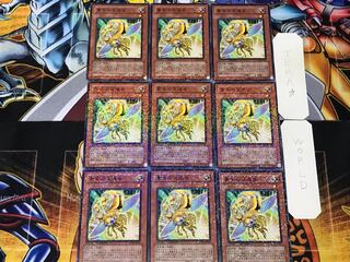 Golden Ladybug 2 Dueling Terminals, set of 9, Tera.