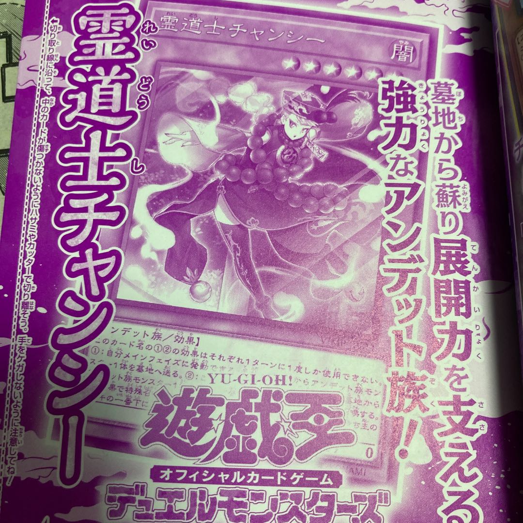 Spirit Taoist Mystic Chansey