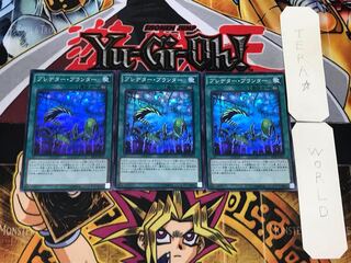 Predaponics 1 Super Set of 3 Tera