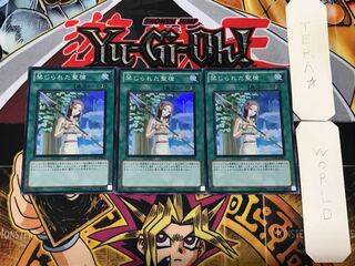 Forbidden Lance 1 Super Set of 3 Tera