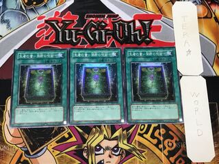 生者の書-禁断の呪術- 2 スーパー 3枚セット てら