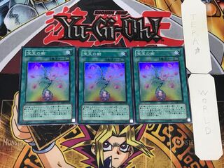 宝玉の樹 2 スーパー 3枚セット てら