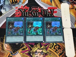 That Grass Looks Greener 3 Super Set of 3 Tera