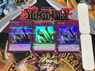 Solemn Judgment 1 Super Parallel 3-card set Tera