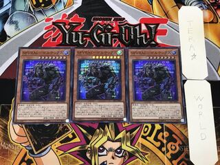 SPYRAL-Vortex 1 Super Set of 3 Tera