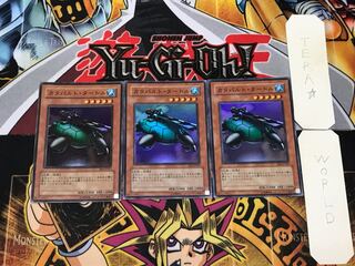 Catapult Turtle 2 Super Set of 3 Tera