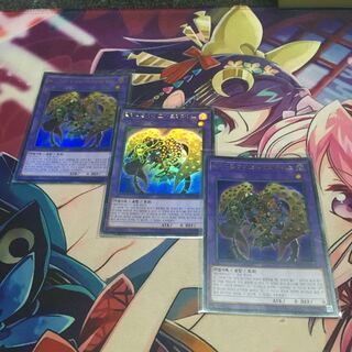 韓国　ミレニアムアイズサクリファイス