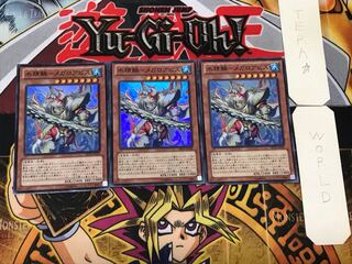 Water Seirin - Megaloabis 2 Super Set of 3 Tera