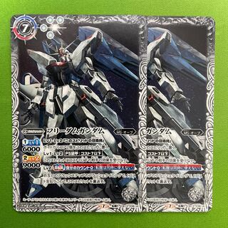 フリーダムガンダム/フリーダムガンダム[ミーティア装備]  2枚 2枚