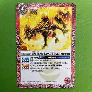 煌星竜スピキュールドラゴン  1枚 1枚