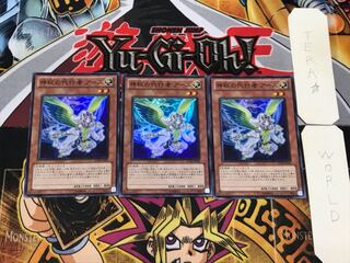 The Agent of Mystery - Earth 2 Super 3-card set Tera