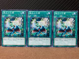 【ぽぽたん】遊戯王 81 進化の代償 3枚 ノーマル