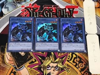 Paladin of Dark Dragon 2 Super Set of 3 Tera