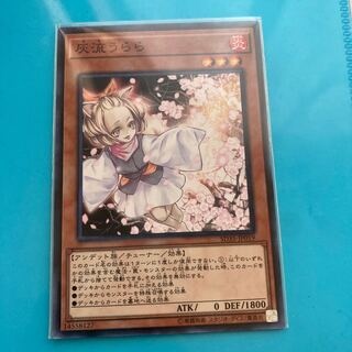 Ash Blossom & Joyous Spring