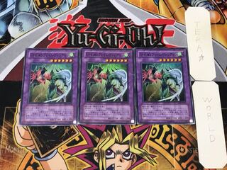 Elemental HERO Flame Wingman 3 Super Set of 3 Tera