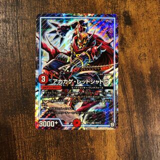 アカカゲ・レッドシャドウ