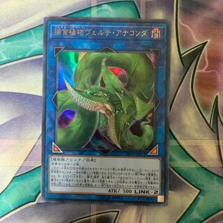 捕食植物ヴェルテ・アナコンダ