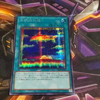 Fishfinder Secret Rare