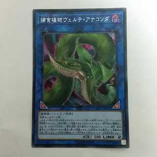 補食植物ヴェルテ・アナコンダ