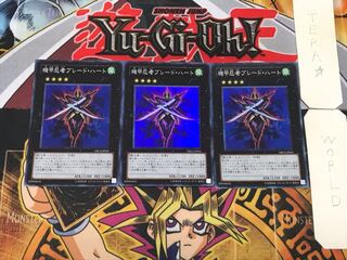 Blade Armor Ninja 1 Super Set of 3 Tera