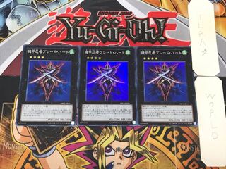 Blade Armor Ninja 2 Super Set of 3 Tera