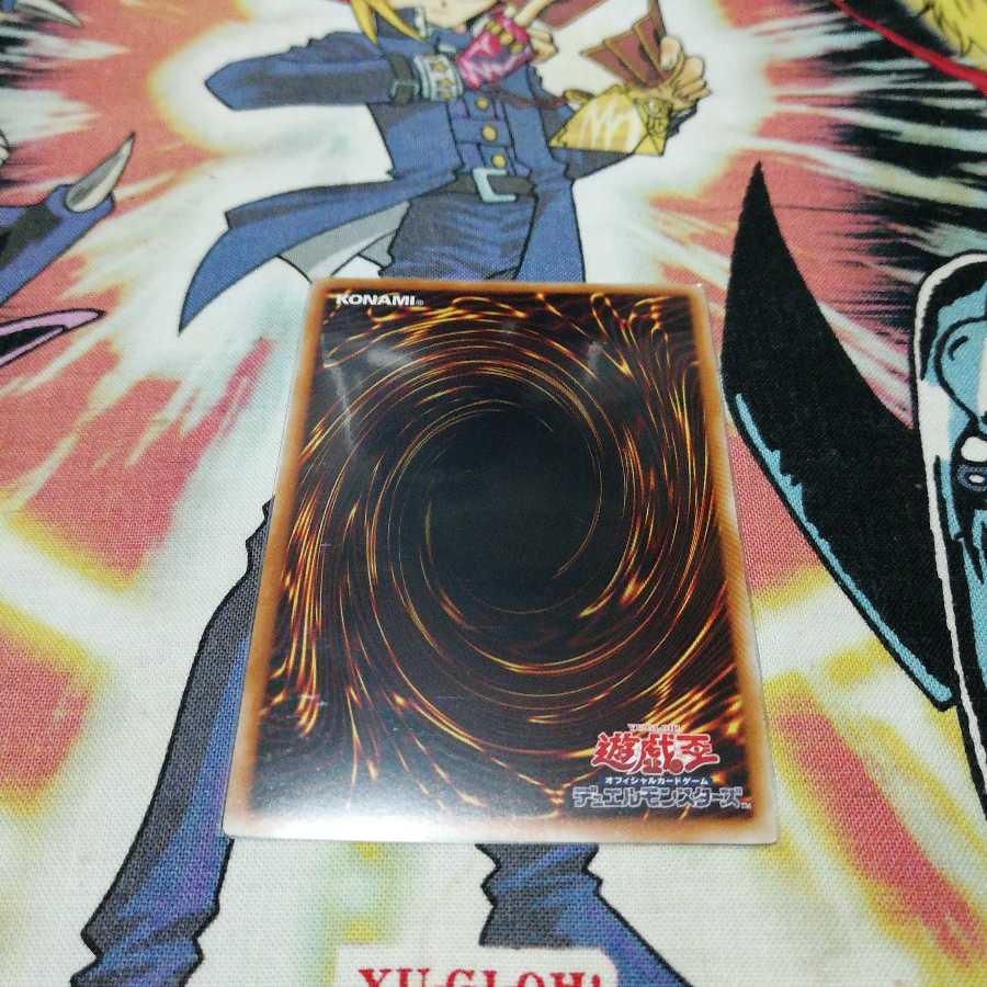 No.54反骨の闘士ライオンハート