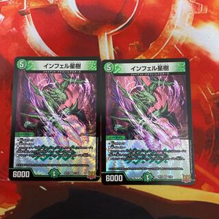 Infelix star tree (species of sedge, Infelix infertilis)