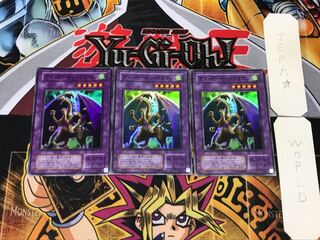 Fiend Skull Dragon 2nd period ver 2 Super set of 3 Tera