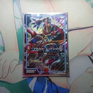 アカカゲ・レッドシャドウ