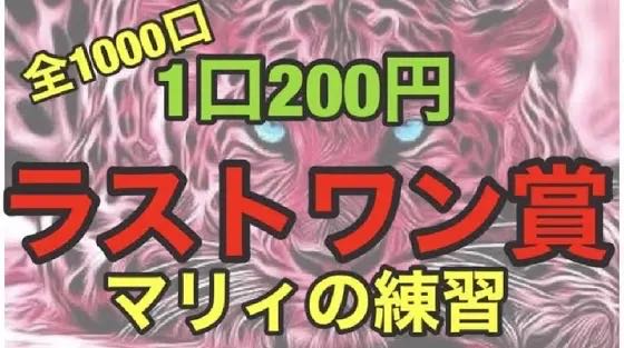 たくみん様専用