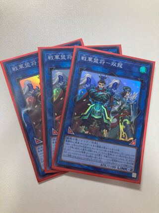 SENKAKU MOUSHO - SOULONG 3 super-rare cards, shipping included.