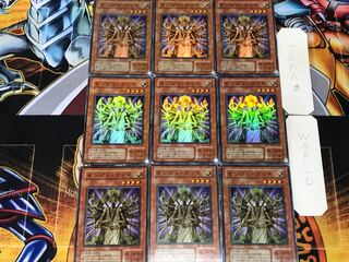 Senju of the Thousand Hands 2nd period ver 3 Super 9-card set Tera