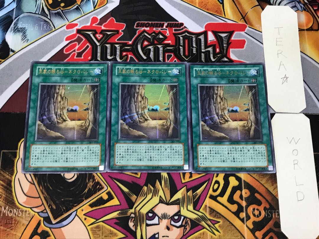 Valley of Sleep of Kings - Necro Valley 1 Ultra 3-card set Tera