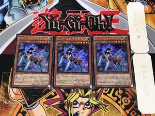 ZW-Pole Star Shinma Sacred Armor 3 Ultra, Set of 3, Tera