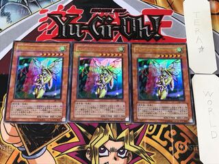 インセクト・プリンセス 307 1 ウルトラパラレル 3枚セット てら