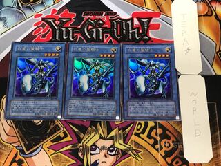 Paladin of White Dragon 302 2 Ultra, set of 3 Tera.