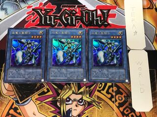 Paladin of White Dragon 302 3 Ultra Set of 3 Tera