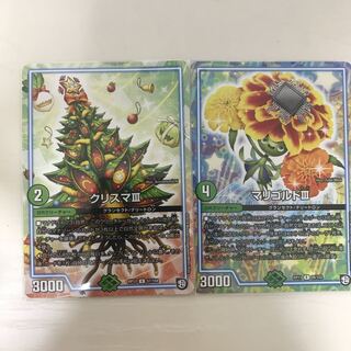 クリスマとマリゴルド