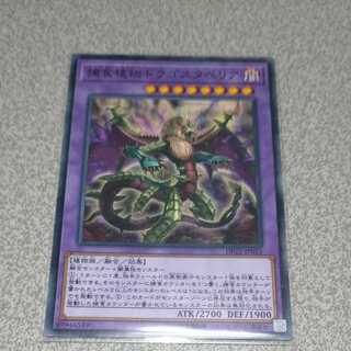 Predaplant Dragostapelia Normal