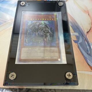 万物創世龍、アポロウーサアジア美品