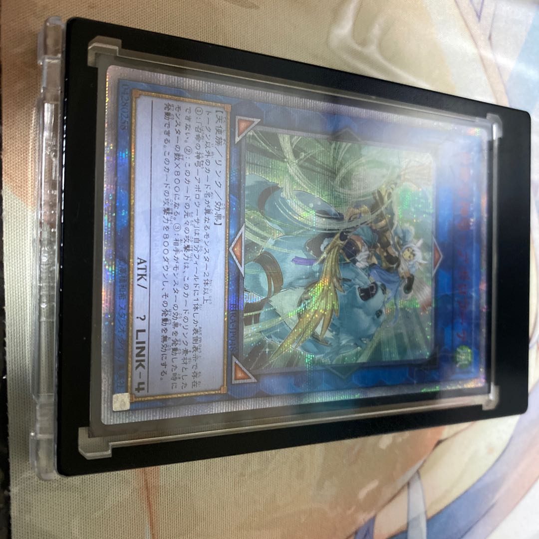 万物創世龍、アポロウーサアジア美品