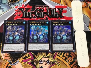 Water Seiryo - Gaioabis 1 Ultra, set of 3 Tera.