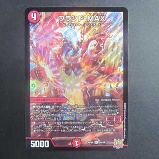 ブランド-MAX　SR　RP21 S6/S8