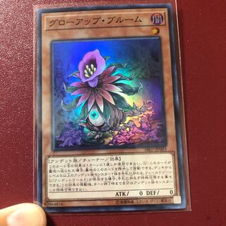 Glow-Up Bloom Super Rare