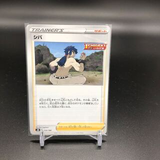 (Japanese) horsetail fern (Betula platyphylla var. japonica)