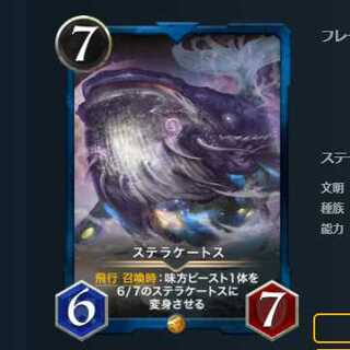 2枚セット ステラケートス