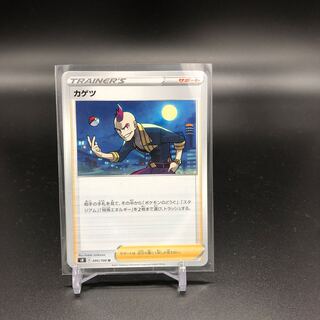 common nutmeg (tree) (Myristica fragrans)